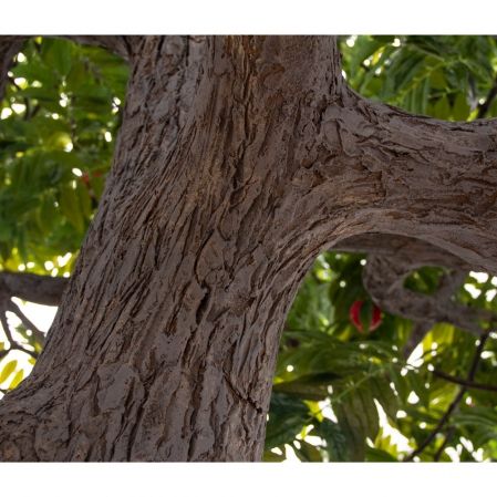 570Разб/424(F) Гранат дерево искусственное разборное с плодами h570см, d400см