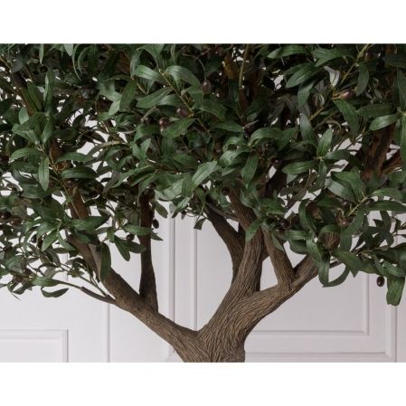 300Разб/465(УУ)(F) Оливковое дерево Премиум разборное h300см