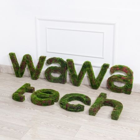 Логотип(з)(F) WAWAtech 300хh30см