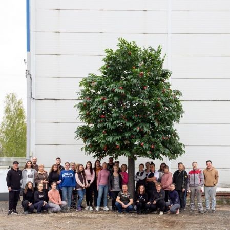 570ГБ/Разб/П/424(з)(Пр) Гранат искусственное дерево с плодами разборное h570см