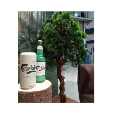 Оформление витрины Carlsberg